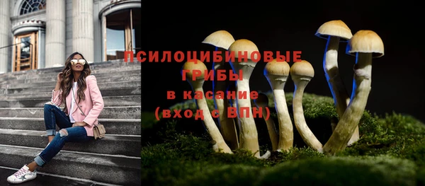прущая мука Яранск