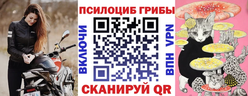 OMG ТОР  Волоколамск  Псилоцибиновые грибы Psilocybe 