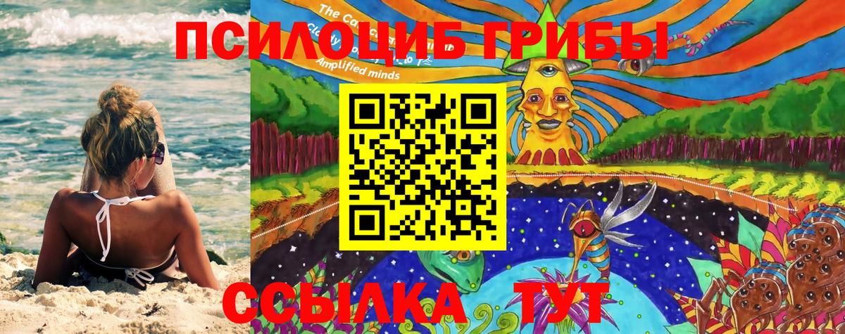 Галлюциногенные грибы Cubensis  Вход с VPN  Волоколамск  Галлюциногенные грибы GOLDEN TEACHER 