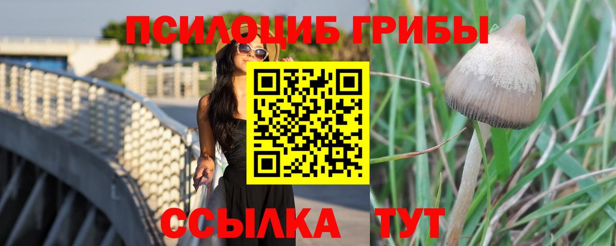 Псилоцибиновые грибы MAGIC MUSHROOMS Волоколамск