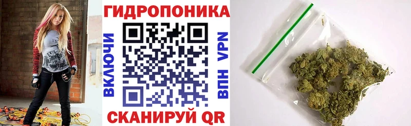 kraken как зайти  Волоколамск  Бошки марихуана марихуана 